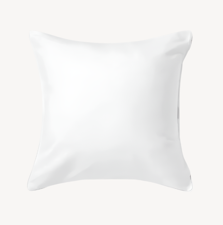 White Cushion Cover